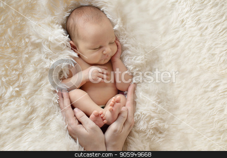 To use this stock image in your creative project, please select the size you need over to the right and click the "Add to Cart" button.
Your downloaded image will come with the Cutcaster watermark removed so don’t worry about the watermark you see on this page. Portrait of newborn baby on a white background. stock photo, Portrait of newborn baby on a white background. by aaalll3110