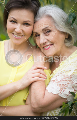 To use this stock image in your creative project, please select the size you need over to the right and click the "Add to Cart" button.
Your downloaded image will come with the Cutcaster watermark removed so don’t worry about the watermark you see on this page. cheerful mother and adult daughter stock photo, Happy senior mother and adult daughter posing together outdoors by Ruslan Huzau