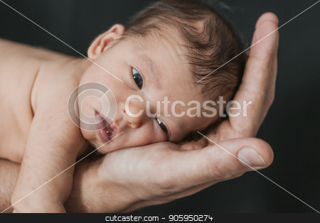 To use this stock image in your creative project, please select the size you need over to the right and click the "Add to Cart" button.
Your downloaded image will come with the Cutcaster watermark removed so don’t worry about the watermark you see on this page. baby on the hands of parents on a black background. stock photo, baby on the hands of parents on a black background. by aaalll3110