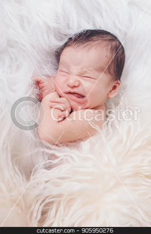 To use this stock image in your creative project, please select the size you need over to the right and click the "Add to Cart" button.
Your downloaded image will come with the Cutcaster watermark removed so don’t worry about the watermark you see on this page. Portrait of newborn baby on a white background. the child makes a face stock photo, Portrait of newborn baby on a white background. the child makes a face by aaalll3110