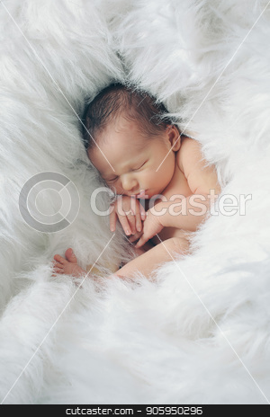 To use this stock image in your creative project, please select the size you need over to the right and click the "Add to Cart" button.
Your downloaded image will come with the Cutcaster watermark removed so don’t worry about the watermark you see on this page. Portrait of newborn baby on a white background. stock photo, Portrait of newborn baby on a white background. by aaalll3110