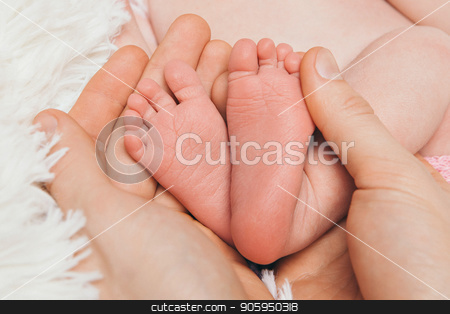 To use this stock image in your creative project, please select the size you need over to the right and click the "Add to Cart" button.
Your downloaded image will come with the Cutcaster watermark removed so don’t worry about the watermark you see on this page. baby feet close up on white background stock photo, baby feet close up on white background by aaalll3110
