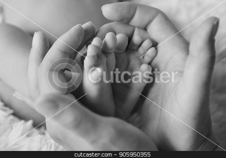 To use this stock image in your creative project, please select the size you need over to the right and click the "Add to Cart" button.
Your downloaded image will come with the Cutcaster watermark removed so don’t worry about the watermark you see on this page. baby feet close up on white background stock photo, baby feet close up on white background by aaalll3110