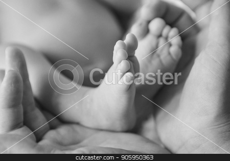 To use this stock image in your creative project, please select the size you need over to the right and click the "Add to Cart" button.
Your downloaded image will come with the Cutcaster watermark removed so don’t worry about the watermark you see on this page. baby feet close up on white and black background stock photo, baby feet close up on white and black background by aaalll3110