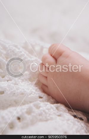 To use this stock image in your creative project, please select the size you need over to the right and click the "Add to Cart" button.
Your downloaded image will come with the Cutcaster watermark removed so don’t worry about the watermark you see on this page. baby feet close up on white background stock photo, baby feet close up on white background by aaalll3110