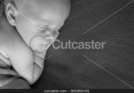 To use this stock image in your creative project, please select the size you need over to the right and click the "Add to Cart" button.
Your downloaded image will come with the Cutcaster watermark removed so don’t worry about the watermark you see on this page. newborn baby lying on a white and black background. Imitation of a baby in the womb. beautiful little child sleeping lying on her tummy. Portrait of newborn stock photo, newborn baby lying on a white and black background. Imitation of a baby in the womb. beautiful little child sleeping lying on her tummy. Portrait of newborn by aaalll3110