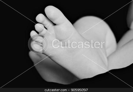 To use this stock image in your creative project, please select the size you need over to the right and click the "Add to Cart" button.
Your downloaded image will come with the Cutcaster watermark removed so don’t worry about the watermark you see on this page. baby feet close up in white and balck colours stock photo, baby feet close up in white and balck colours by aaalll3110