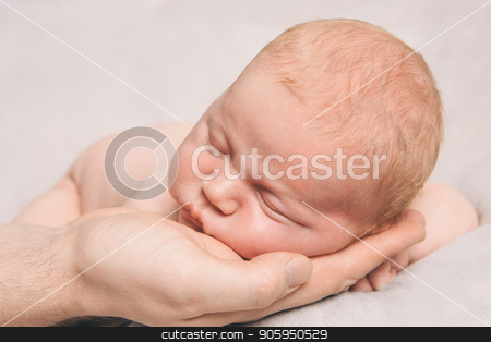 To use this stock image in your creative project, please select the size you need over to the right and click the "Add to Cart" button.
Your downloaded image will come with the Cutcaster watermark removed so don’t worry about the watermark you see on this page. portrait of newborn baby lying on the hands of parents stock photo, portrait of newborn baby lying on the hands of parents by aaalll3110