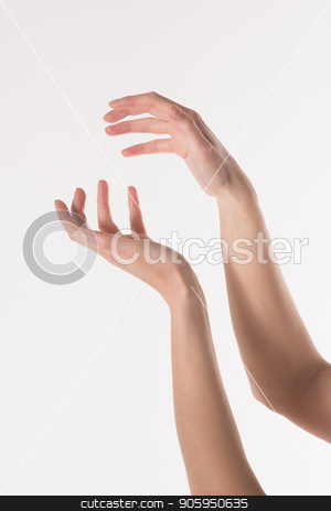 To use this stock image in your creative project, please select the size you need over to the right and click the "Add to Cart" button.
Your downloaded image will come with the Cutcaster watermark removed so don’t worry about the watermark you see on this page. two women's hands on a white background. Empty hand isolated on white stock photo, two women's hands on a white background. Empty hand isolated on white by aaalll3110
