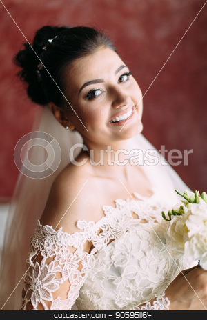 To use this stock image in your creative project, please select the size you need over to the right and click the "Add to Cart" button.
Your downloaded image will come with the Cutcaster watermark removed so don’t worry about the watermark you see on this page. The smiling bride with the wedding bouquet of white roses. Close-up portrait. stock photo, The smiling bride with the wedding bouquet of white roses. Close-up portrait by Andrii Kobryn