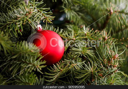 To use this stock image in your creative project, please select the size you need over to the right and click the "Add to Cart" button.
Your downloaded image will come with the Cutcaster watermark removed so don’t worry about the watermark you see on this page. Christmas ornament is on the treet stock photo, Single ornament supported by a christmas tree. by txking