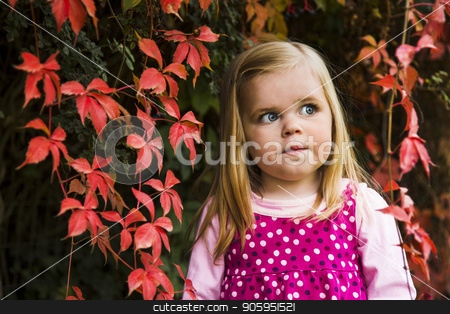 To use this stock image in your creative project, please select the size you need over to the right and click the "Add to Cart" button.
Your downloaded image will come with the Cutcaster watermark removed so don’t worry about the watermark you see on this page. Cute young girl against red leaves. stock photo, Portrait of a young girl agains leaves showing fall/autumn colors by txking
