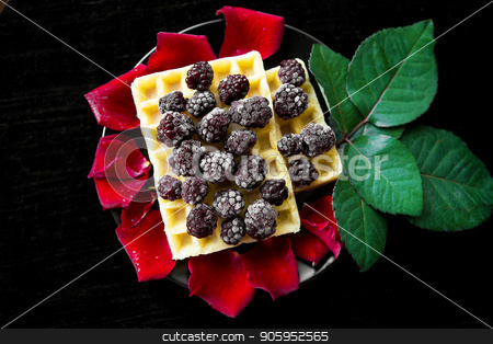 To use this stock image in your creative project, please select the size you need over to the right and click the "Add to Cart" button.
Your downloaded image will come with the Cutcaster watermark removed so don’t worry about the watermark you see on this page. Belgian waffles with blackberries on a black background with petals of roses stock photo, Belgian waffles with blackberries on a black background with petals of roses. by Sergiy Artsaba