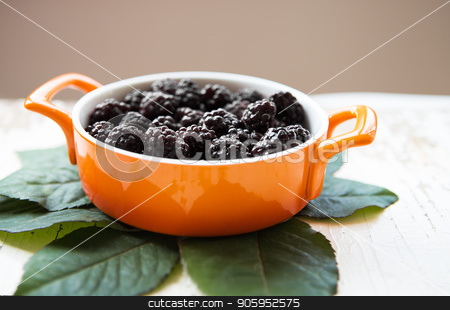 To use this stock image in your creative project, please select the size you need over to the right and click the "Add to Cart" button.
Your downloaded image will come with the Cutcaster watermark removed so don’t worry about the watermark you see on this page. A full blackberry plate is on an old wooden background stock photo, A full blackberry plate is on an old wooden background. by Sergiy Artsaba