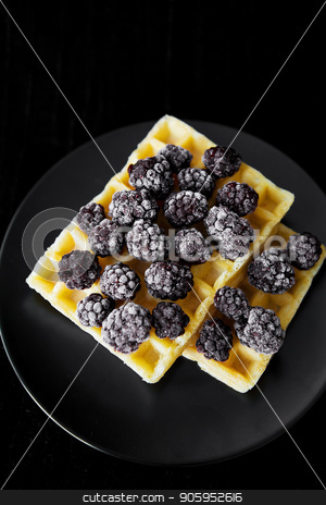 To use this stock image in your creative project, please select the size you need over to the right and click the "Add to Cart" button.
Your downloaded image will come with the Cutcaster watermark removed so don’t worry about the watermark you see on this page. Belgian wafers with frozen blackberries on a black background, close-up stock photo, Belgian wafers with frozen blackberries on a black background, close-up. by Sergiy Artsaba