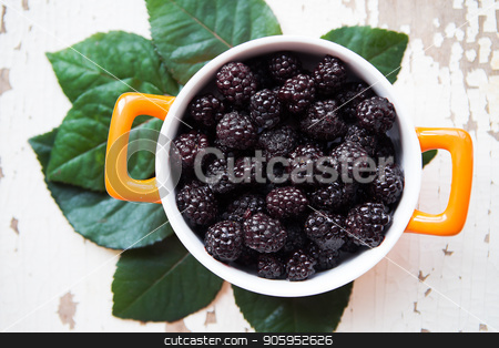 To use this stock image in your creative project, please select the size you need over to the right and click the "Add to Cart" button.
Your downloaded image will come with the Cutcaster watermark removed so don’t worry about the watermark you see on this page. A full blackberry plate is on an old wooden background stock photo, A full blackberry plate is on an old wooden background. by Sergiy Artsaba