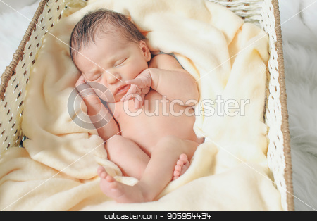 To use this stock image in your creative project, please select the size you need over to the right and click the "Add to Cart" button.
Your downloaded image will come with the Cutcaster watermark removed so don’t worry about the watermark you see on this page. A little child lies in the basket stock photo, A little child lies in the basket by aaalll3110