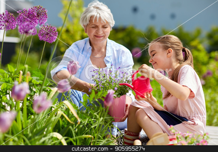 To use this stock image in your creative project, please select the size you need over to the right and click the "Add to Cart" button.
Your downloaded image will come with the Cutcaster watermark removed so don’t worry about the watermark you see on this page. grandmother and girl planting flowers at garden stock photo, gardening, family and people concept - happy grandmother and granddaughter planting flowers at summer garden by Syda Productions