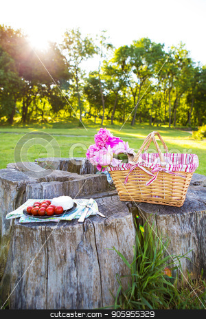 To use this stock image in your creative project, please select the size you need over to the right and click the "Add to Cart" button.
Your downloaded image will come with the Cutcaster watermark removed so don’t worry about the watermark you see on this page. Picnic on nature stock photo, Beautiful basket with flowers and a plate with food stands on a wooden stump by Sergiy Artsaba