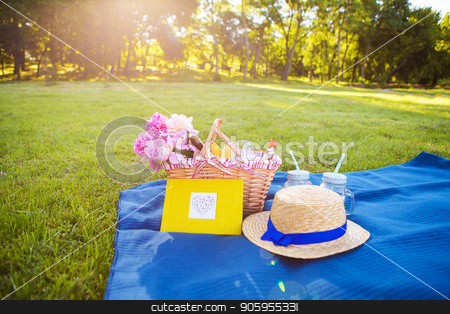 To use this stock image in your creative project, please select the size you need over to the right and click the "Add to Cart" button.
Your downloaded image will come with the Cutcaster watermark removed so don’t worry about the watermark you see on this page. Picnic on nature stock photo, Beautiful flowers in a basket and yellow album lie on the grass-bright picnic by Sergiy Artsaba