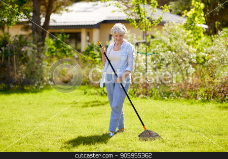 To use this stock image in your creative project, please select the size you need over to the right and click the "Add to Cart" button.
Your downloaded image will come with the Cutcaster watermark removed so don’t worry about the watermark you see on this page. senior woman with lawn rake working at garden stock photo, gardening and people concept - happy senior woman with lawn rake working at summer garden by Syda Productions