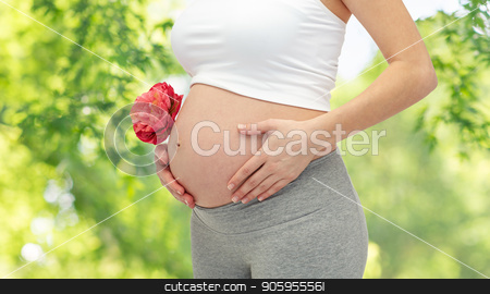 To use this stock image in your creative project, please select the size you need over to the right and click the "Add to Cart" button.
Your downloaded image will come with the Cutcaster watermark removed so don’t worry about the watermark you see on this page. close up of pregnant woman over natural background stock photo, pregnancy, love, people and expectation concept - close up of pregnant woman bare belly over green natural background by Syda Productions