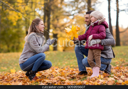 To use this stock image in your creative project, please select the size you need over to the right and click the "Add to Cart" button.
Your downloaded image will come with the Cutcaster watermark removed so don’t worry about the watermark you see on this page. happy family with maple leaves at autumn park stock photo, family, season and people concept - happy father and little daughter giving maple leaves to mother at autumn park by Syda Productions