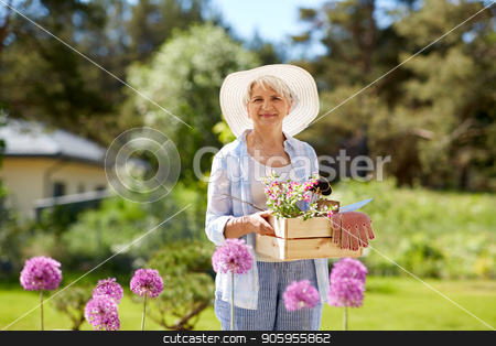 To use this stock image in your creative project, please select the size you need over to the right and click the "Add to Cart" button.
Your downloaded image will come with the Cutcaster watermark removed so don’t worry about the watermark you see on this page. senior woman garden tools and flowers at summer stock photo, gardening and people concept - senior woman or gardener with garden tools and flowers in wooden box at summer by Syda Productions