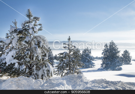 To use this stock image in your creative project, please select the size you need over to the right and click the "Add to Cart" button.
Your downloaded image will come with the Cutcaster watermark removed so don’t worry about the watermark you see on this page. Cold winter morning stock photo, Fog in the hills with lots of snow covered trees. by txking
