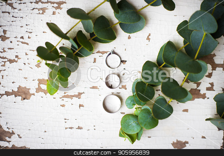 To use this stock image in your creative project, please select the size you need over to the right and click the "Add to Cart" button.
Your downloaded image will come with the Cutcaster watermark removed so don’t worry about the watermark you see on this page. beautiful old ring on a white table with a sprig of eucalyptus stock photo, beautiful old ring on a white table with a sprig of eucalyptus by Sergiy Artsaba