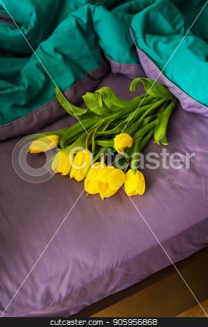 To use this stock image in your creative project, please select the size you need over to the right and click the "Add to Cart" button.
Your downloaded image will come with the Cutcaster watermark removed so don’t worry about the watermark you see on this page. beautiful yellow tulips stock photo, Beautiful yellow tulips in a bed, close-up by Sergiy Artsaba