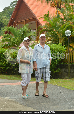 To use this stock image in your creative project, please select the size you need over to the right and click the "Add to Cart" button.
Your downloaded image will come with the Cutcaster watermark removed so don’t worry about the watermark you see on this page. Senior couple at hotel resort stock photo, Senior beautiful couple walking at tropic resort by Ruslan Huzau