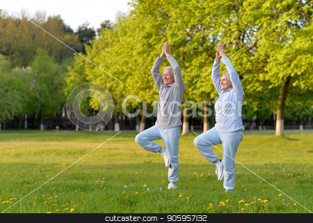 To use this stock image in your creative project, please select the size you need over to the right and click the "Add to Cart" button.
Your downloaded image will come with the Cutcaster watermark removed so don’t worry about the watermark you see on this page. fit senior couple exercising stock photo, Happy fit senior couple exercising in park by Ruslan Huzau
