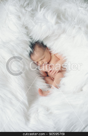To use this stock image in your creative project, please select the size you need over to the right and click the "Add to Cart" button.
Your downloaded image will come with the Cutcaster watermark removed so don’t worry about the watermark you see on this page. Portrait of newborn baby on a white background. stock photo, Portrait of newborn baby on a white background. by aaalll3110