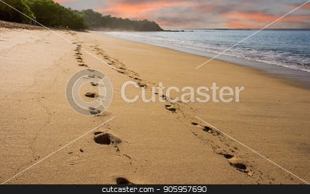 To use this stock image in your creative project, please select the size you need over to the right and click the "Add to Cart" button.
Your downloaded image will come with the Cutcaster watermark removed so don’t worry about the watermark you see on this page. Footsteps on Early Morning Beach stock photo, Footsteps along an empty beach in early morning light by Darryl Brooks