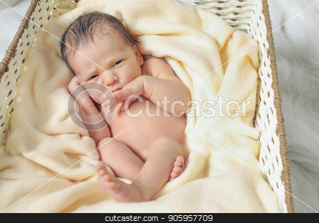 To use this stock image in your creative project, please select the size you need over to the right and click the "Add to Cart" button.
Your downloaded image will come with the Cutcaster watermark removed so don’t worry about the watermark you see on this page. A little child lies in the basket stock photo, A little child lies in the basket by aaalll3110
