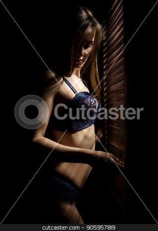 To use this stock image in your creative project, please select the size you need over to the right and click the "Add to Cart" button.
Your downloaded image will come with the Cutcaster watermark removed so don’t worry about the watermark you see on this page. Beautiful woman in underwear stending near window and closed louver on a sunny day. Striped shadow on a body stock photo, Beautiful woman in underwear stending near window and closed louver on a sunny day. Striped shadow on a body. by Alexander
