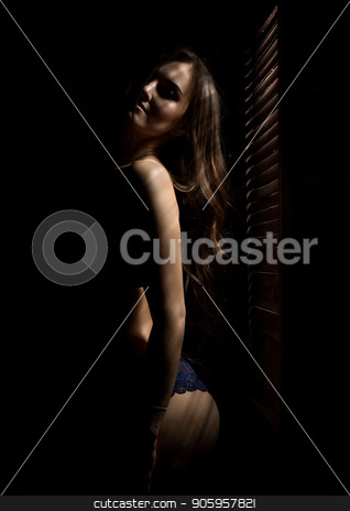 To use this stock image in your creative project, please select the size you need over to the right and click the "Add to Cart" button.
Your downloaded image will come with the Cutcaster watermark removed so don’t worry about the watermark you see on this page. Beautiful woman in underwear stending near window and closed louver on a sunny day. Striped shadow on a body stock photo, Beautiful woman in underwear stending near window and closed louver on a sunny day. Striped shadow on a body. by Alexander