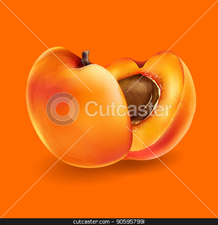 To use this stock image in your creative project, please select the size you need over to the right and click the "Add to Cart" button.
Your downloaded image will come with the Cutcaster watermark removed so don’t worry about the watermark you see on this page. Apricot and slices stock vector clipart, Apricot and cut slices on a bright orange background. by ConceptCafe