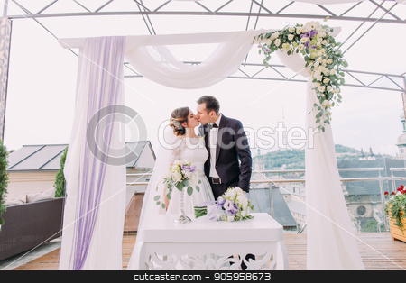 To use this stock image in your creative project, please select the size you need over to the right and click the "Add to Cart" button.
Your downloaded image will come with the Cutcaster watermark removed so don’t worry about the watermark you see on this page. Kissing newlywed couple under the wedding arch. stock photo, Kissing newlywed couple under the wedding arch by Andrii Kobryn