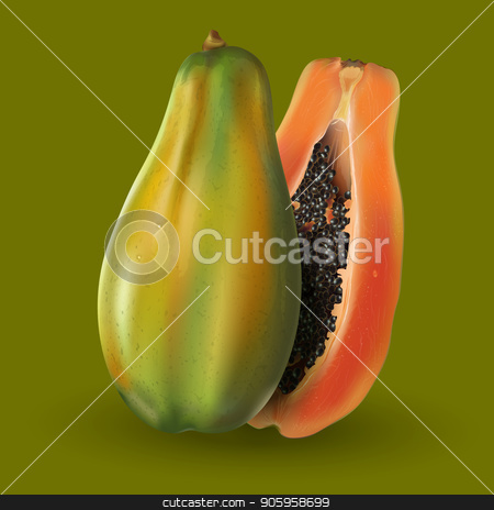 To use this stock image in your creative project, please select the size you need over to the right and click the "Add to Cart" button.
Your downloaded image will come with the Cutcaster watermark removed so don’t worry about the watermark you see on this page. Papaya on green background stock vector clipart, Papaya or pawpaw slices on green background. by ConceptCafe