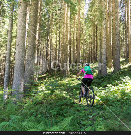 To use this stock image in your creative project, please select the size you need over to the right and click the "Add to Cart" button.
Your downloaded image will come with the Cutcaster watermark removed so don’t worry about the watermark you see on this page. Active sporty woman riding mountain bike on forest trail . stock photo, Active sporty woman riding mountain bike on demanding forest trail. by kasto