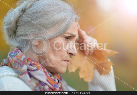 To use this stock image in your creative project, please select the size you need over to the right and click the "Add to Cart" button.
Your downloaded image will come with the Cutcaster watermark removed so don’t worry about the watermark you see on this page. sad senior woman in autumn park stock photo, Portrait of sad senior woman in autumn park by Ruslan Huzau