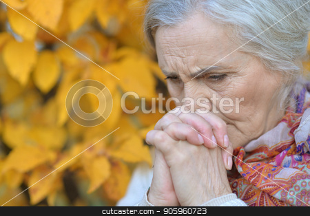 To use this stock image in your creative project, please select the size you need over to the right and click the "Add to Cart" button.
Your downloaded image will come with the Cutcaster watermark removed so don’t worry about the watermark you see on this page. sad senior woman in autumn park stock photo, Portrait of sad senior woman in autumn park by Ruslan Huzau