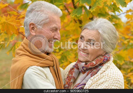 To use this stock image in your creative project, please select the size you need over to the right and click the "Add to Cart" button.
Your downloaded image will come with the Cutcaster watermark removed so don’t worry about the watermark you see on this page. happy Senior couple in park stock photo, Portrait of happy senior couple in autumn park by Ruslan Huzau