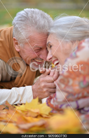 To use this stock image in your creative project, please select the size you need over to the right and click the "Add to Cart" button.
Your downloaded image will come with the Cutcaster watermark removed so don’t worry about the watermark you see on this page. Senior couple in autumn park stock photo, Portrait of happy senior couple in autumn park by Ruslan Huzau