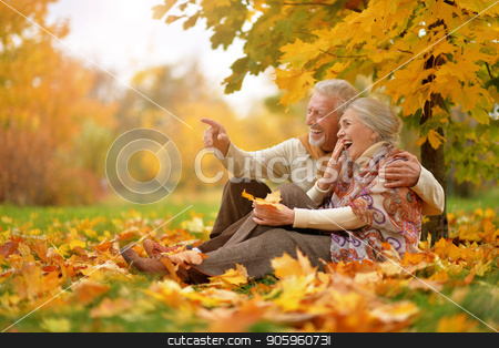 To use this stock image in your creative project, please select the size you need over to the right and click the "Add to Cart" button.
Your downloaded image will come with the Cutcaster watermark removed so don’t worry about the watermark you see on this page. happy Senior couple in autumn park sitting stock photo, Portrait of happy senior couple in autumn park sitting by Ruslan Huzau