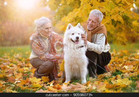 To use this stock image in your creative project, please select the size you need over to the right and click the "Add to Cart" button.
Your downloaded image will come with the Cutcaster watermark removed so don’t worry about the watermark you see on this page. portrait of beautiful caucasian senior couple with dog stock photo, portrait of beautiful caucasian senior couple with dog in autumn park by Ruslan Huzau