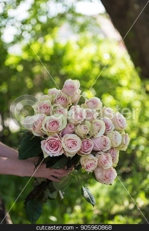 To use this stock image in your creative project, please select the size you need over to the right and click the "Add to Cart" button.
Your downloaded image will come with the Cutcaster watermark removed so don’t worry about the watermark you see on this page. Female hands holding beauty bouquet of red roses stock photo, Female hands holding beauty bouquet of roses on blurred green background by olinchuk