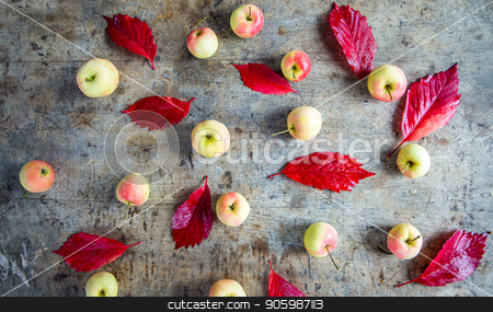 To use this stock image in your creative project, please select the size you need over to the right and click the "Add to Cart" button.
Your downloaded image will come with the Cutcaster watermark removed so don’t worry about the watermark you see on this page. Apples grape leaves on old boards. autumn, Autumnal vertical background. stock photo, colorful Apples grape leaves on old boards. autumn, Autumnal vertical background. by Arina Komarova